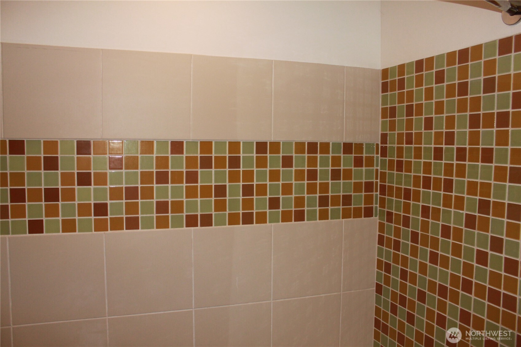 8001 Densmore Avenue North Seattle, WA 98103 - Photo 21 of 22 a bathroom with a blue shower