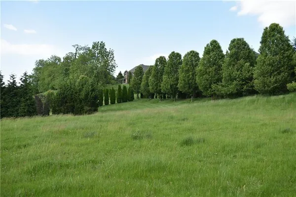 a view of a grassy field with trees in the background