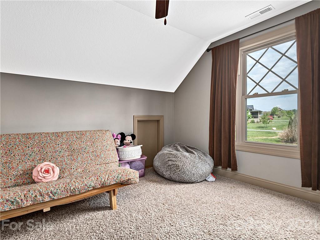 48 Carl Roberts Road Alexander, NC 28701 - Photo 28 of 40 Gallery Image 28