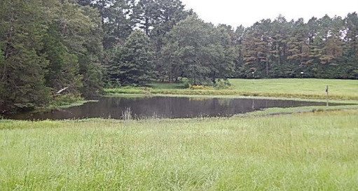 181 Day Place Road Vaughan, MS 39179 - Photo 1 of 21 Photo 1