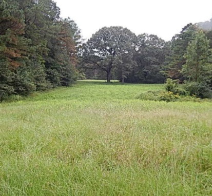 181 Day Place Road Vaughan, MS 39179 - Photo 21 of 21 Photo 22