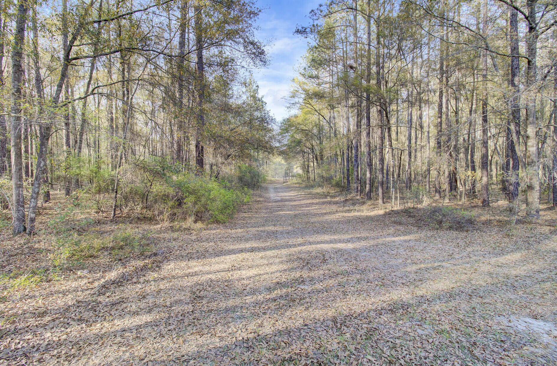 1640 Wire Road Dorchester, SC 29437 - Photo 68 of 85 Road to Rear of Property
