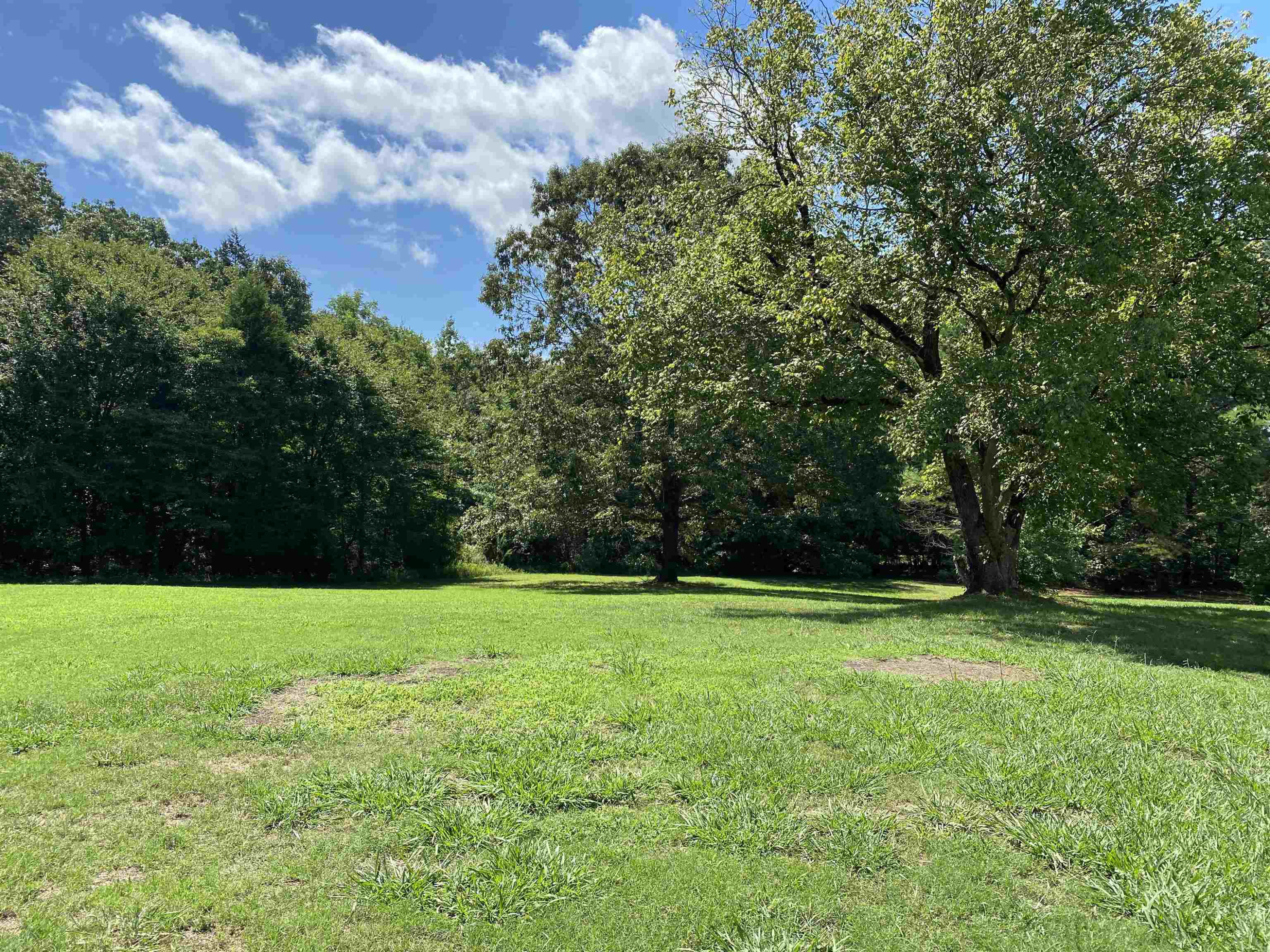 11060 Middleburg Decaturville Road Scotts Hill, TN 38374 - Photo 2 of 20 Photo 2