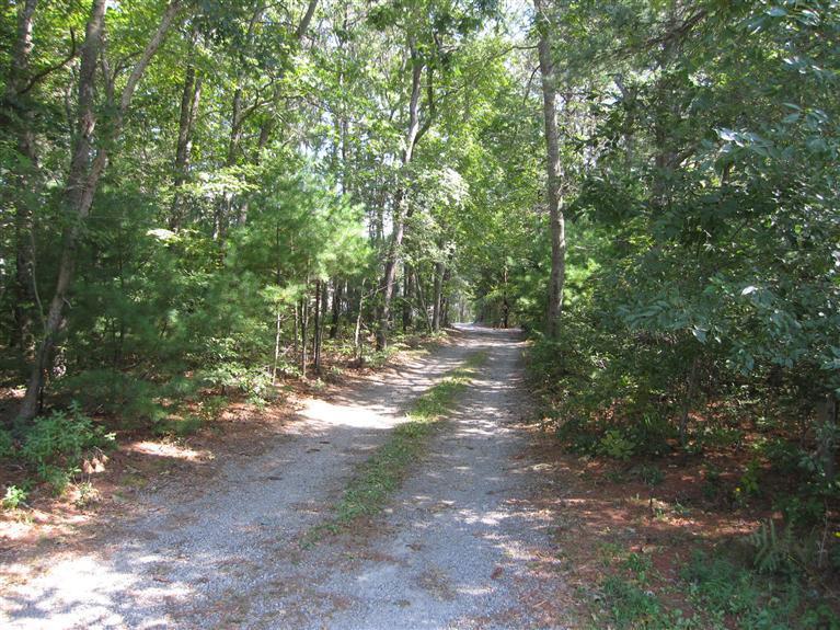 560 Skunknet Road Centerville, MA 02632 - Photo 2 of 24 a view of a forest with trees