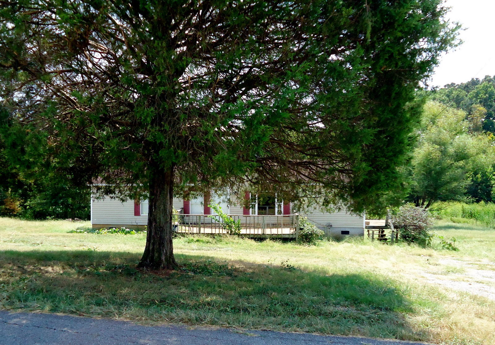 320 Seed Tick Road Sweetwater, TN 37874 - Photo 3 of 37 03-DSC00872