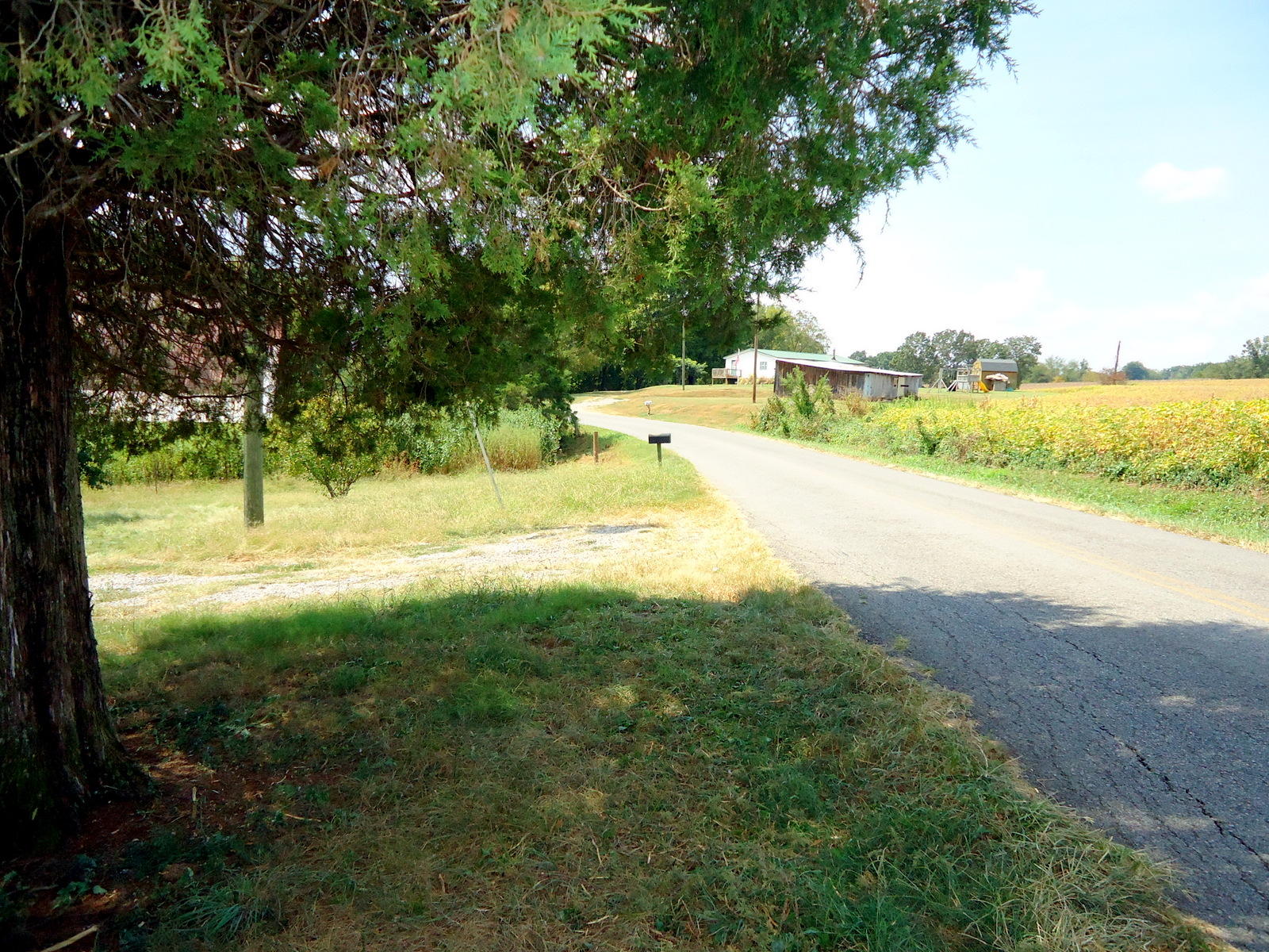 320 Seed Tick Road Sweetwater, TN 37874 - Photo 4 of 37 04-DSC00870