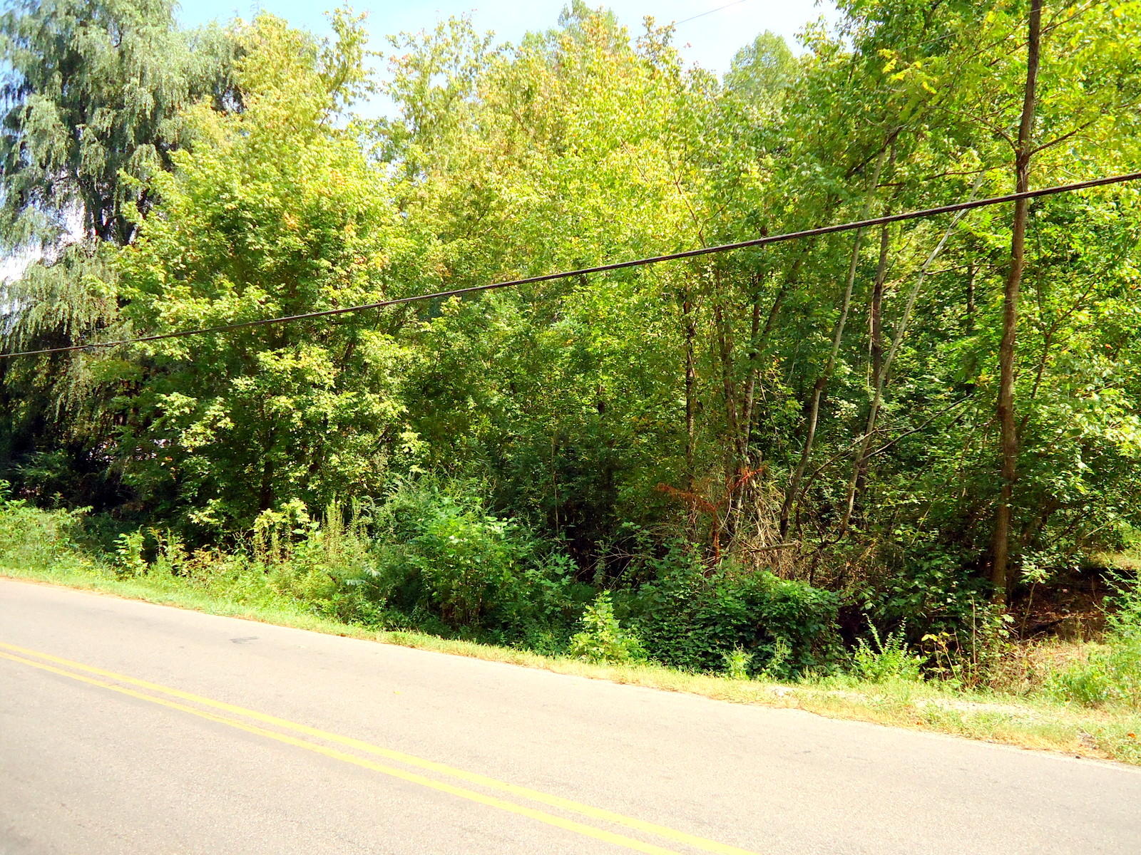 320 Seed Tick Road Sweetwater, TN 37874 - Photo 31 of 37 31-DSC00860