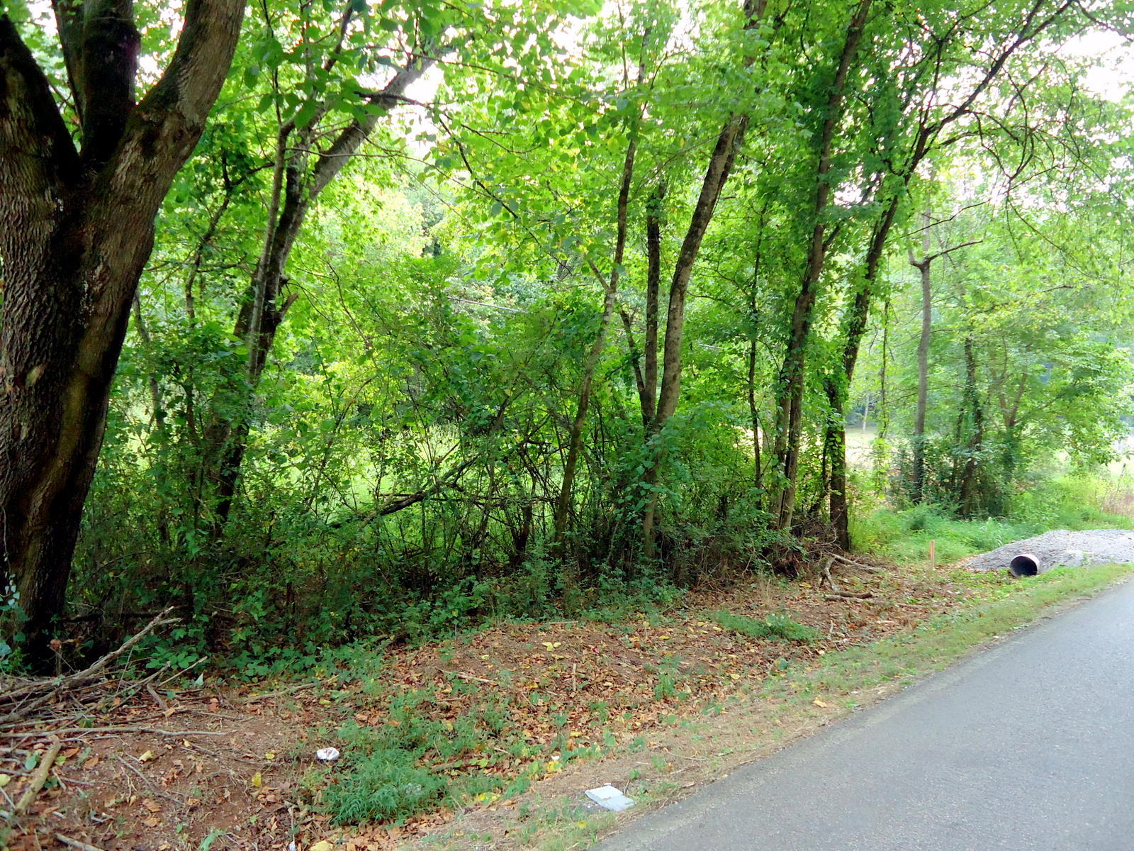 320 Seed Tick Road Sweetwater, TN 37874 - Photo 35 of 37 35-DSC00864