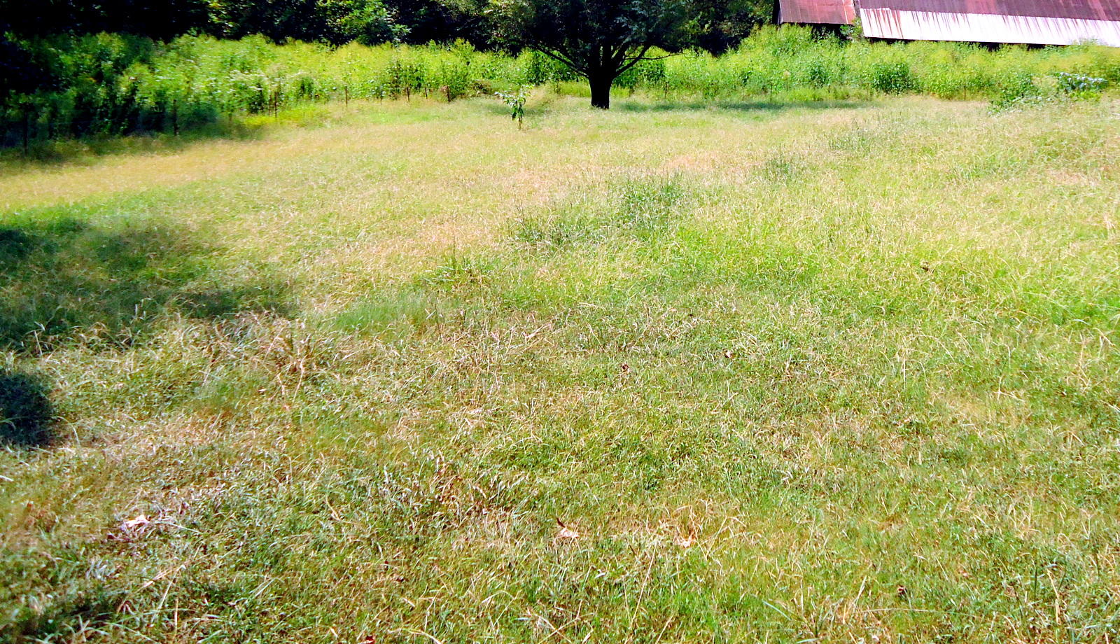 320 Seed Tick Road Sweetwater, TN 37874 - Photo 36 of 37 36-DSC00865