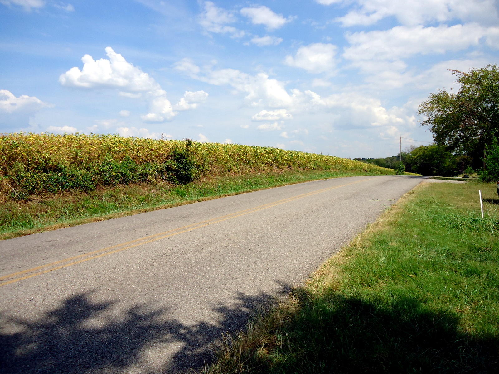 320 Seed Tick Road Sweetwater, TN 37874 - Photo 5 of 37 05-DSC00871
