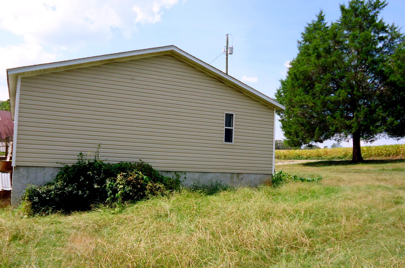 320 Seed Tick Road Sweetwater, TN 37874 - Photo 6 of 37 06-DSC00867