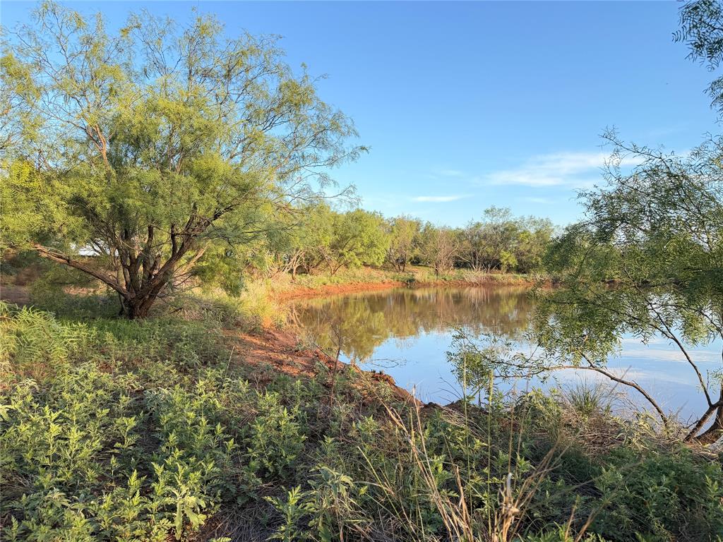 Tbd Nowell Road Quanah, TX 79252 - Photo 6 of 24