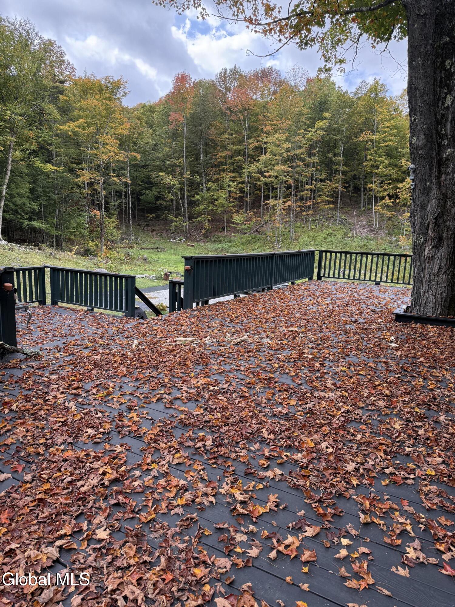 38 Henry Wescott Road Thurman, NY 12885 - Photo 13 of 66 IMG_0115