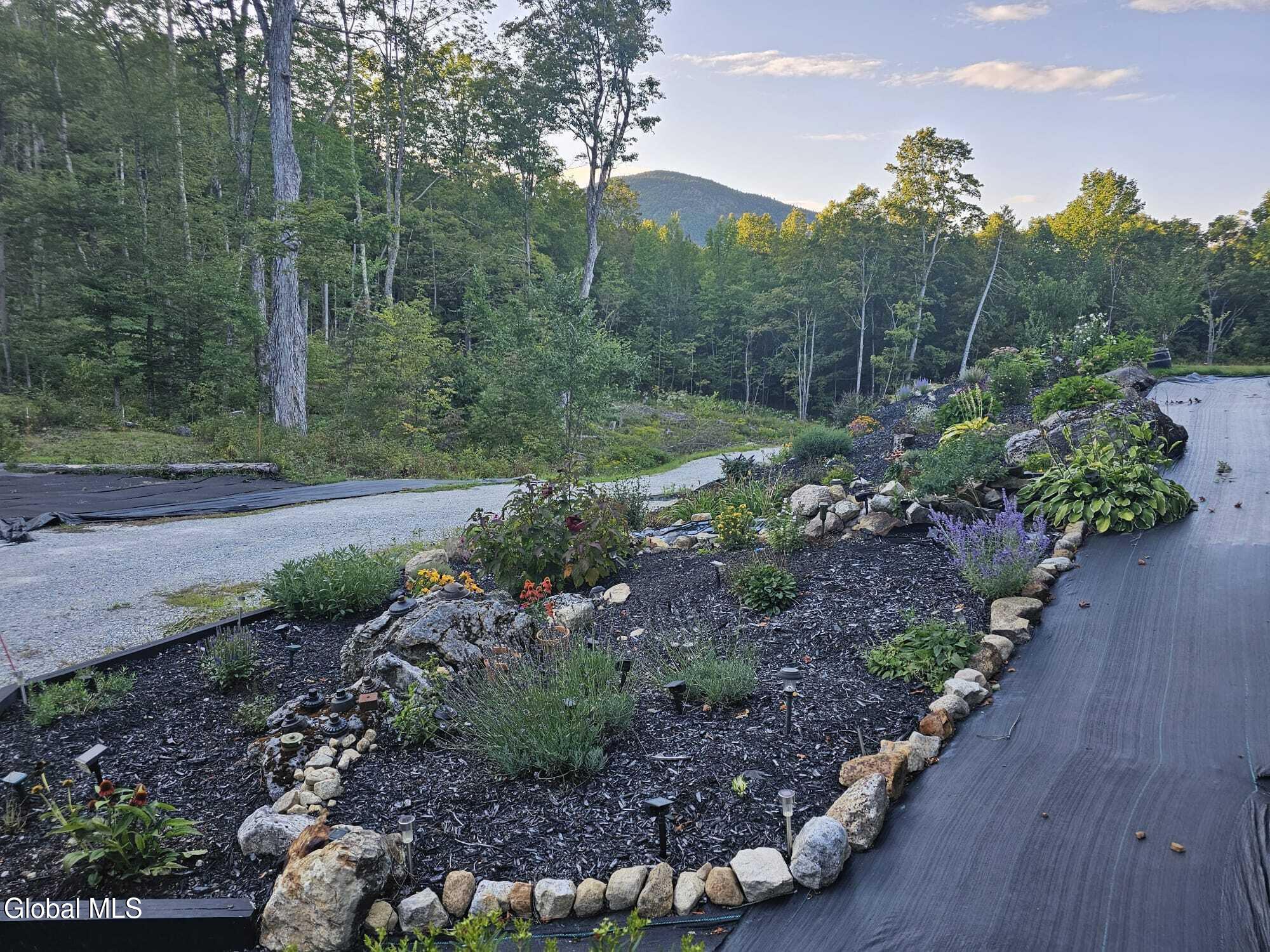 38 Henry Wescott Road Thurman, NY 12885 - Photo 52 of 66 Perennial bank