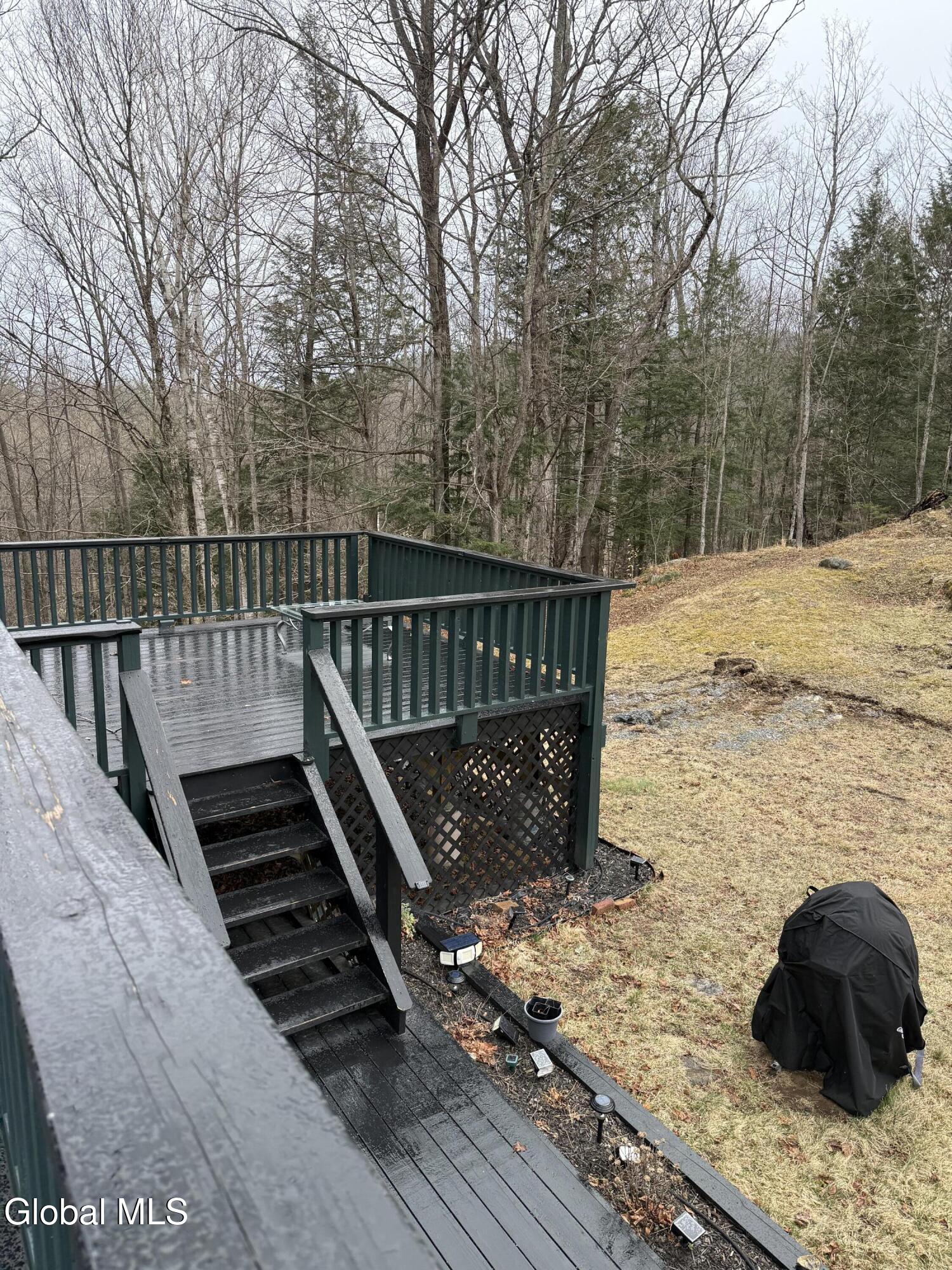 38 Henry Wescott Road Thurman, NY 12885 - Photo 55 of 66 IMG_0591