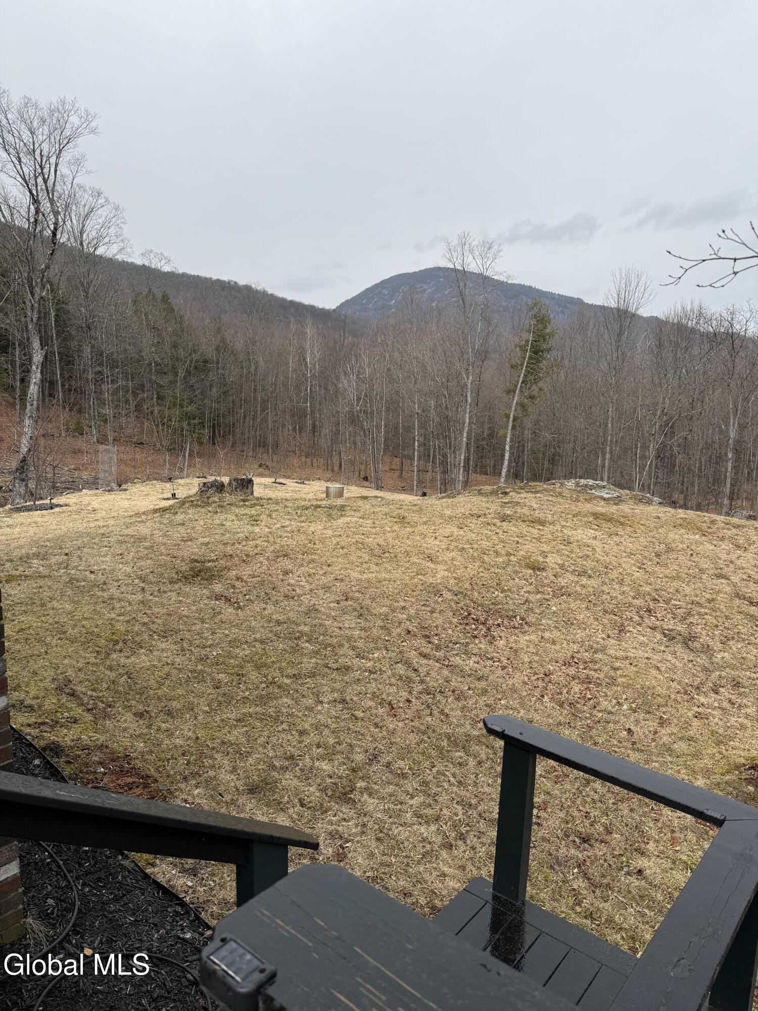 38 Henry Wescott Road Thurman, NY 12885 - Photo 56 of 66 IMG_0599