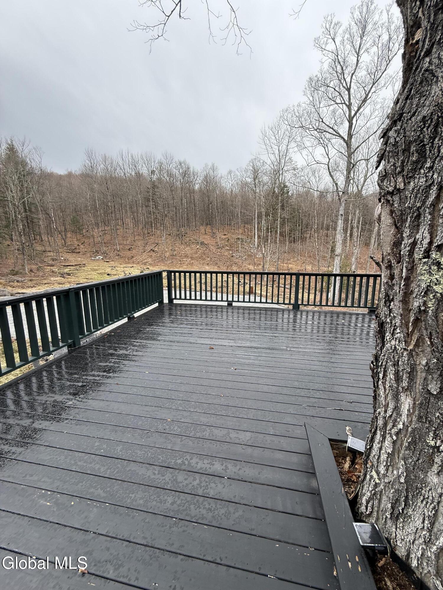 38 Henry Wescott Road Thurman, NY 12885 - Photo 57 of 66 IMG_0602