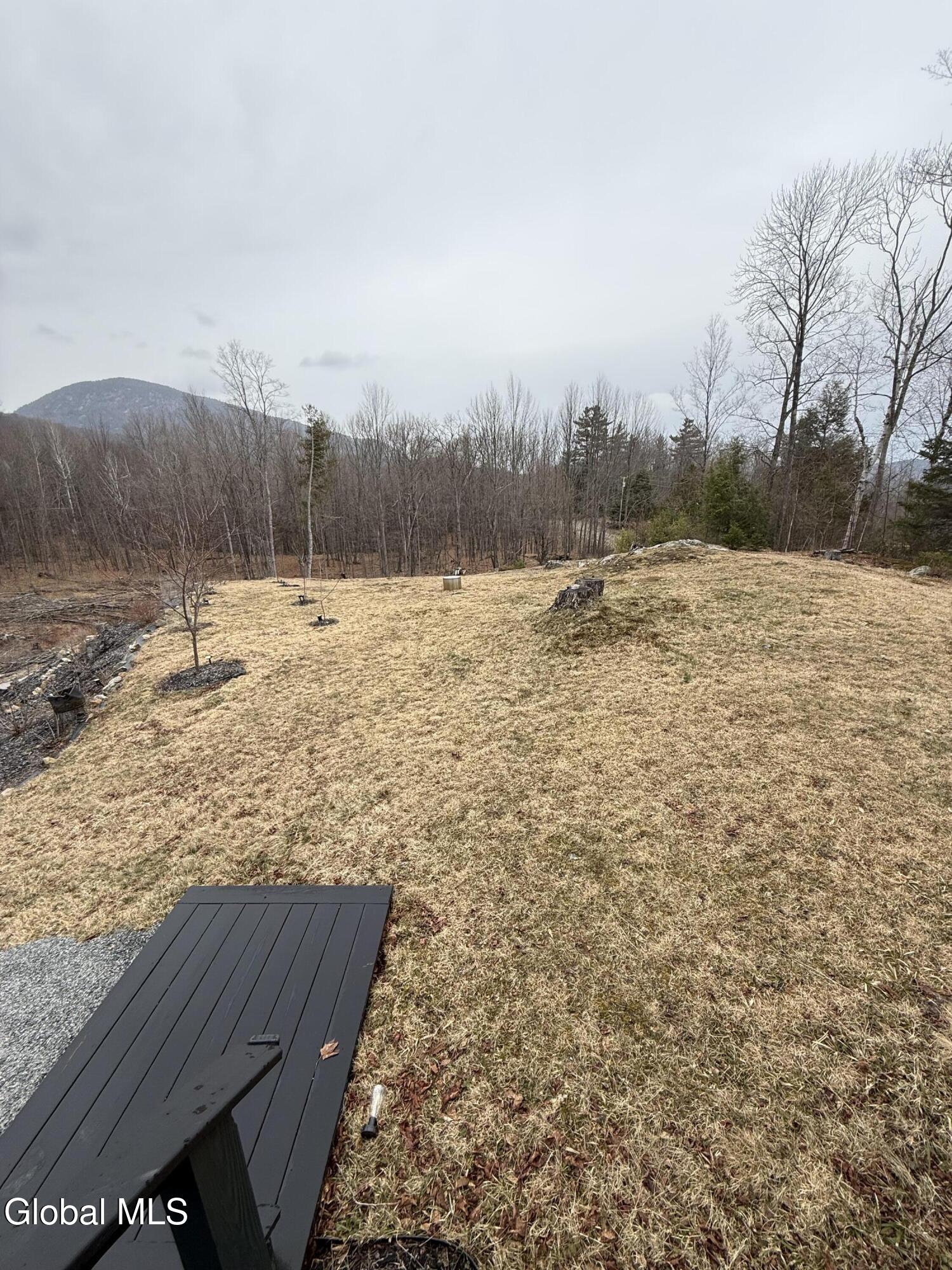 38 Henry Wescott Road Thurman, NY 12885 - Photo 62 of 66 IMG_0603