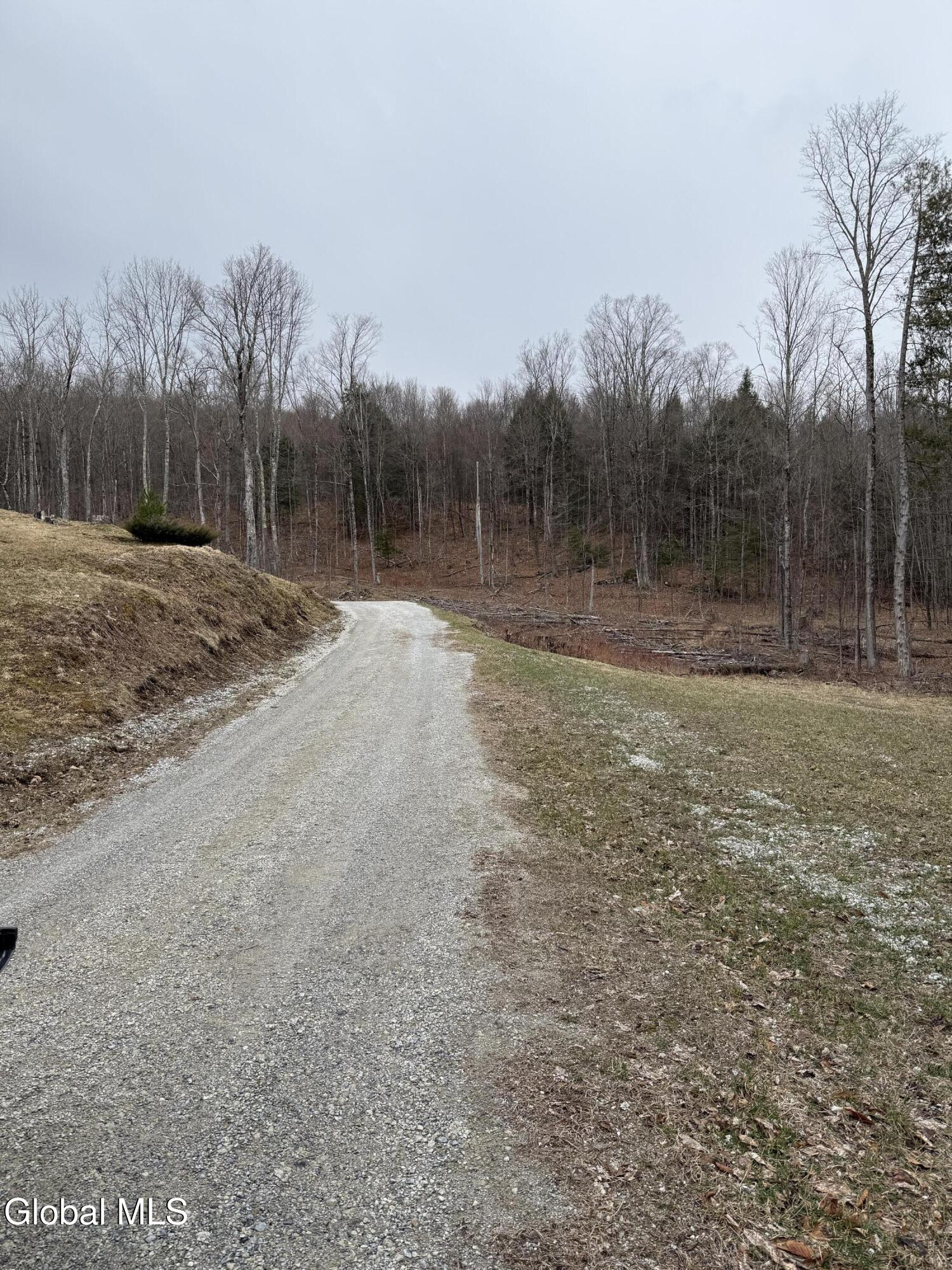 38 Henry Wescott Road Thurman, NY 12885 - Photo 64 of 66 IMG_0607