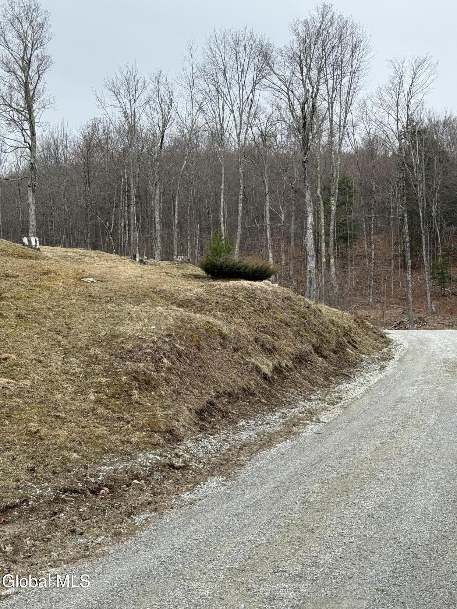 38 Henry Wescott Road Thurman, NY 12885 - Photo 65 of 66 IMG_0609