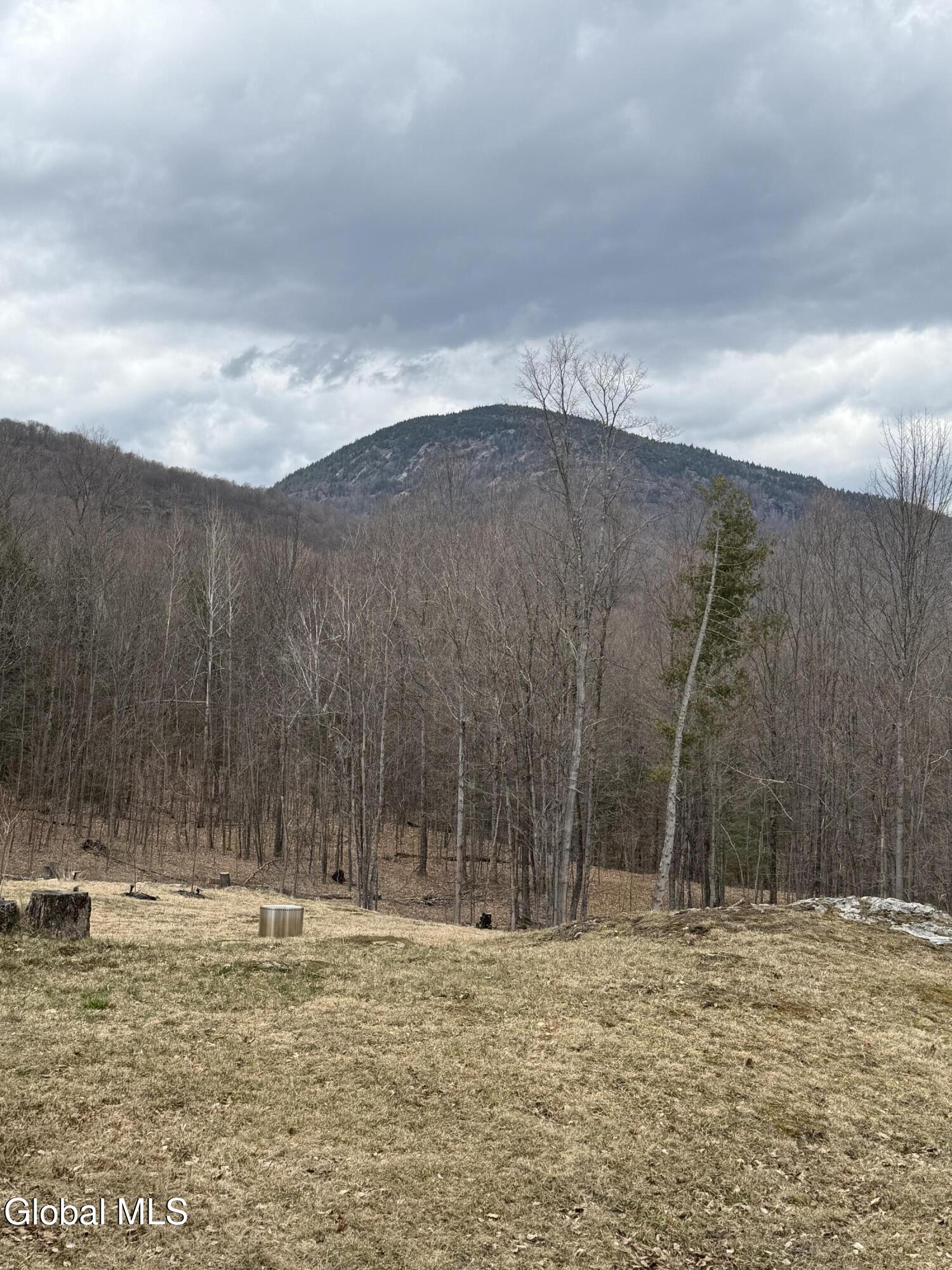 38 Henry Wescott Road Thurman, NY 12885 - Photo 66 of 66 IMG_0614