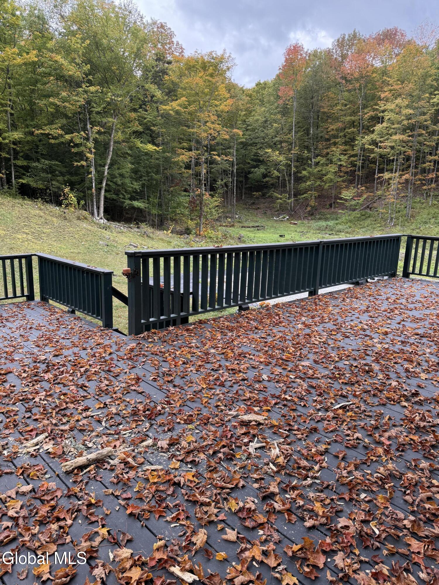 38 Henry Wescott Road Thurman, NY 12885 - Photo 9 of 66 IMG_0110