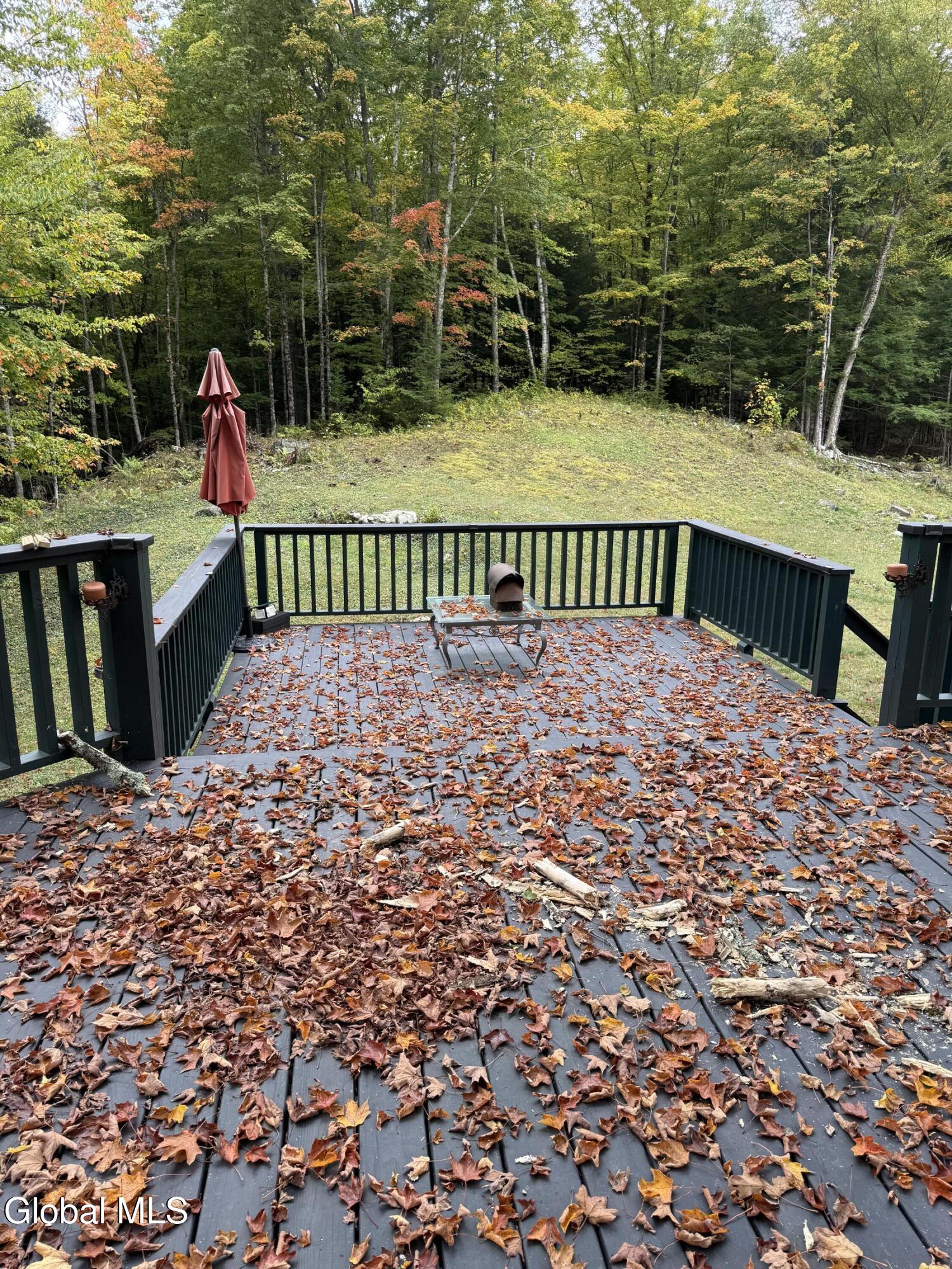 38 Henry Wescott Road Thurman, NY 12885 - Photo 10 of 66 IMG_0111