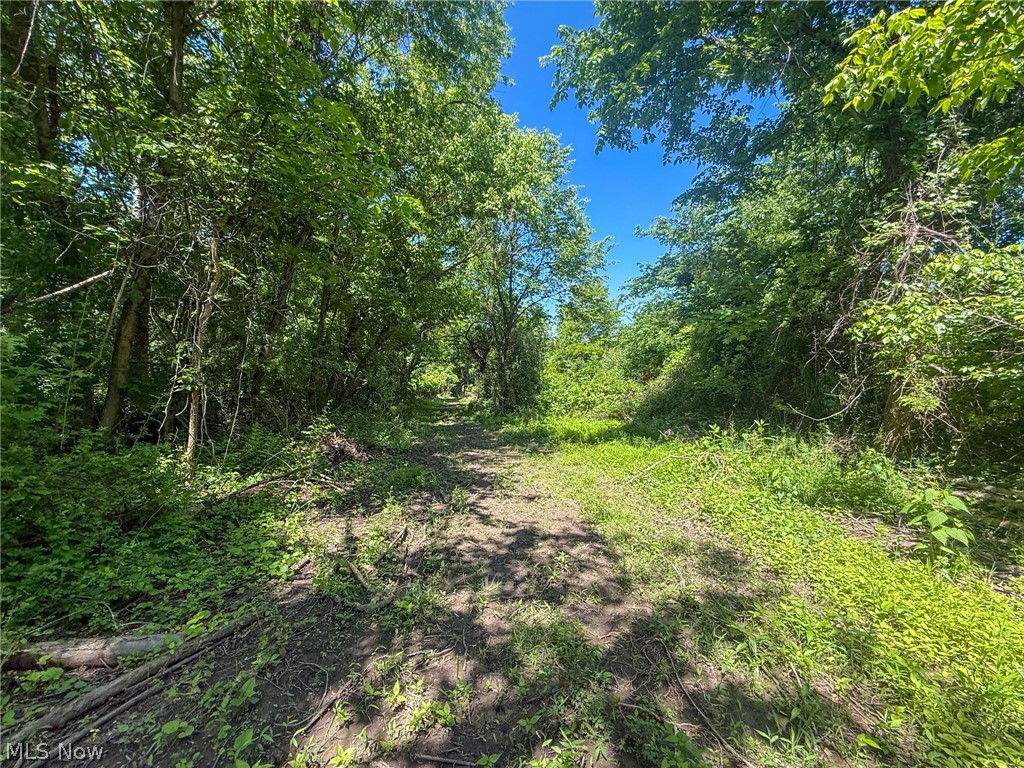 Lot 2 Altamont Road Mingo Junction, OH 43938 - Photo 5 of 26 Gallery Image 5