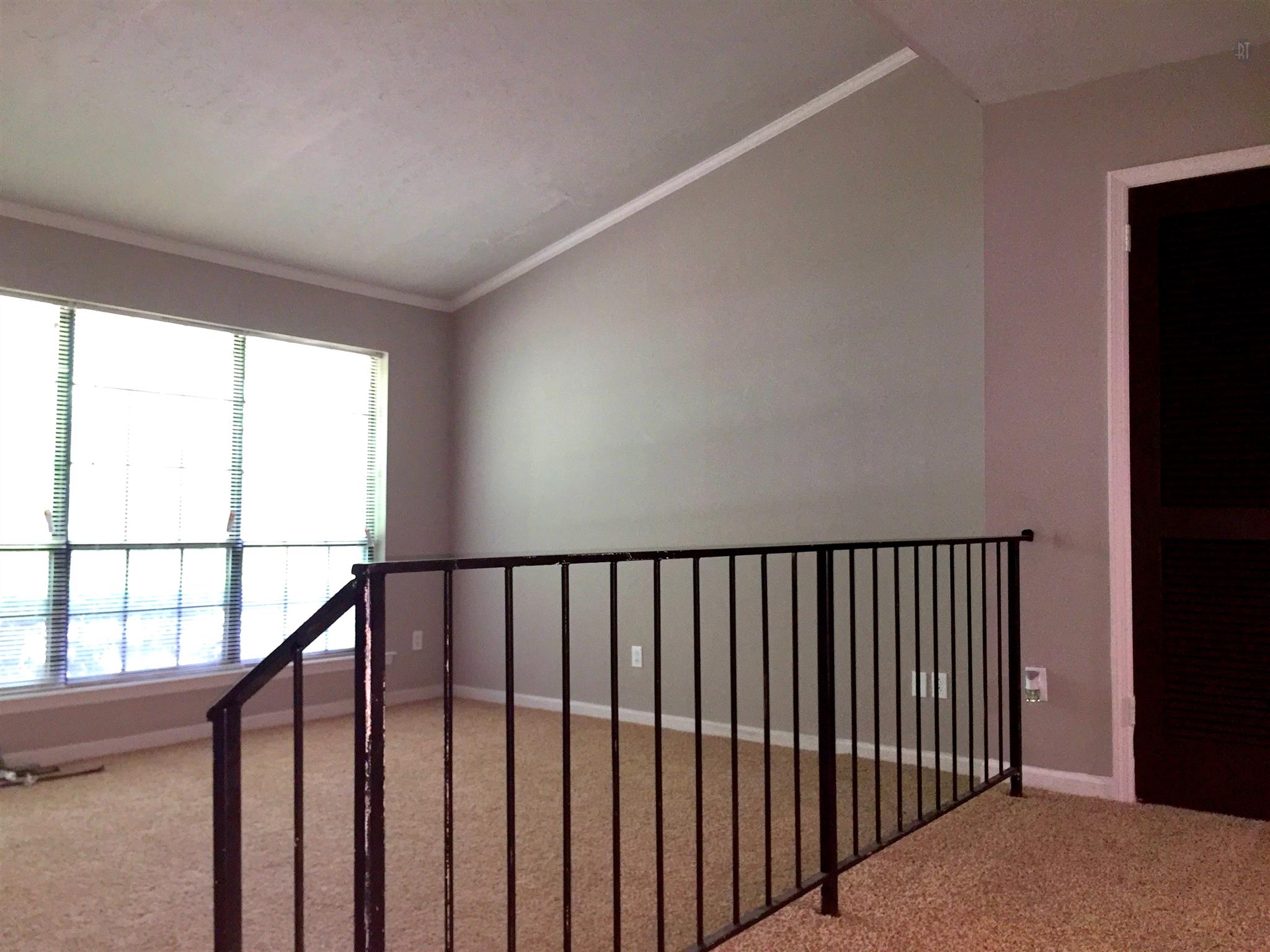 4001 Anderson Road, Unit 4 Nashville, TN 37217 - Photo 7 of 21 Large open living space. Brand new carpet and fresh paint throughout the unit. So much natural light as well. The view out the living room picture window is great. Lots of mature trees and sunlight.