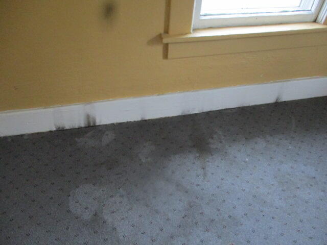 202 Poplar Street Three Oaks, MI 49128 - Photo 24 of 35 9