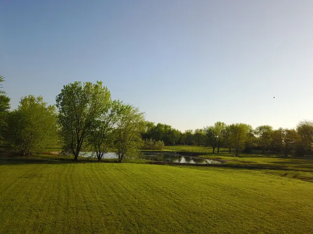 a view of outdoor space and yard
