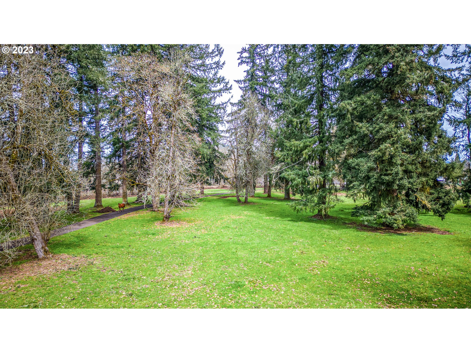 85124 Cloverdale Road Creswell, OR 97426 - Photo 48 of 48 a open area with trees in the background