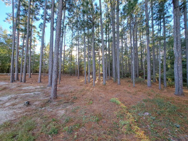 1888 Williston Road Aiken, SC 29803 - Photo 20 of 30 Gallery Image 20