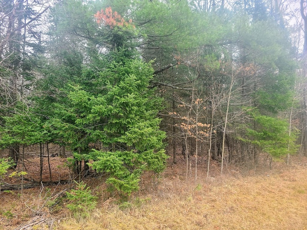 0 Silver Lake Road Saranac, NY 12981 - Photo 6 of 6 Gallery Image 6