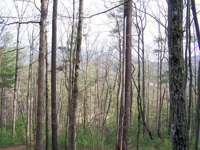 Topper Road Hartford, TN 37753 - Photo 14 of 14 100_4638