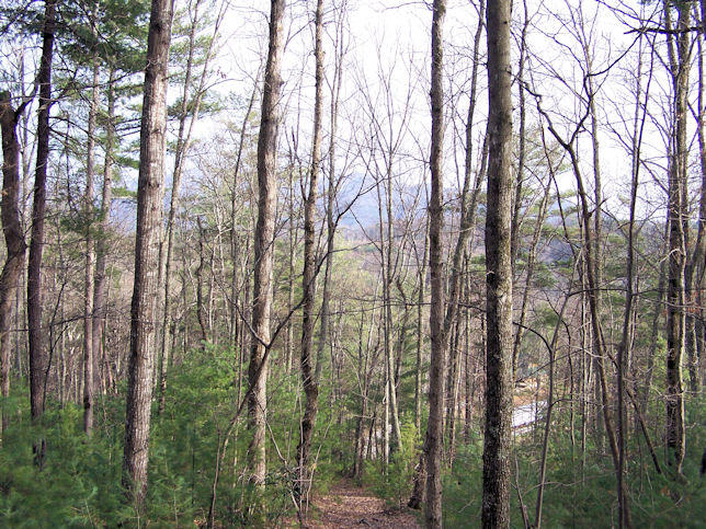 Topper Road Hartford, TN 37753 - Photo 10 of 14 100_4634
