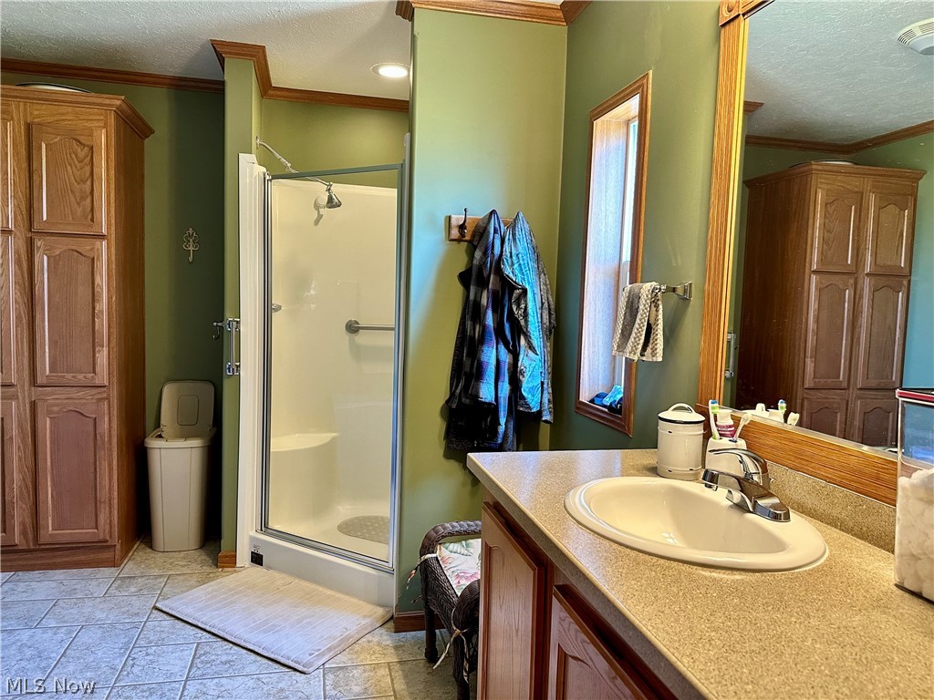 100 Anderson Road Fleming, OH 45729 - Photo 16 of 31 Master bathroom offers a large vanity, a stand-up shower and lots of storage.