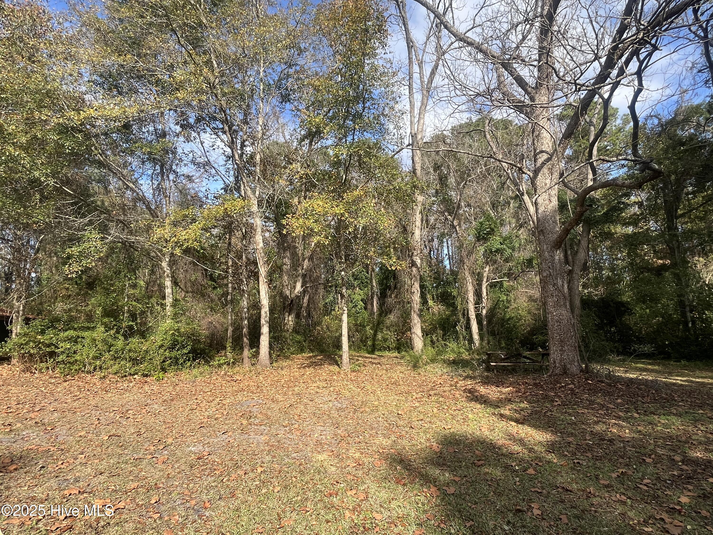 7682 Kershaw Road Arapahoe, NC 28510 - Photo 41 of 43 Backyard