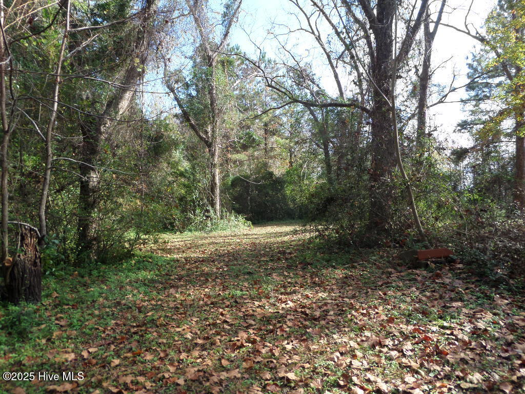 7682 Kershaw Road Arapahoe, NC 28510 - Photo 5 of 43 Backyard