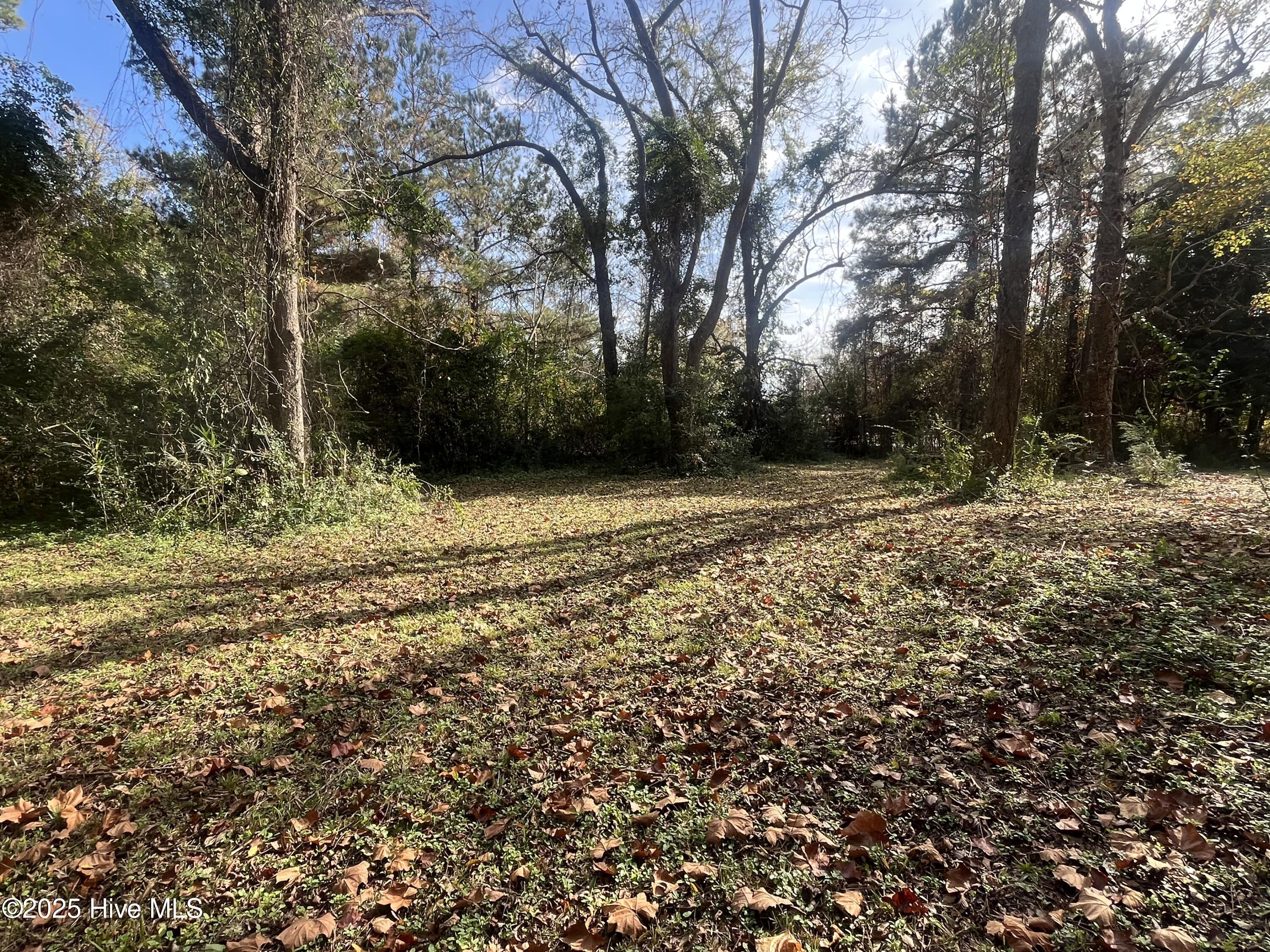 7682 Kershaw Road Arapahoe, NC 28510 - Photo 6 of 43 Back Yard