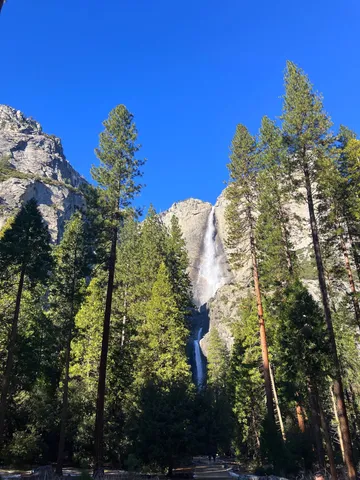 $344,000 | 18996 Digger Pine Street, Groveland, CA 95321