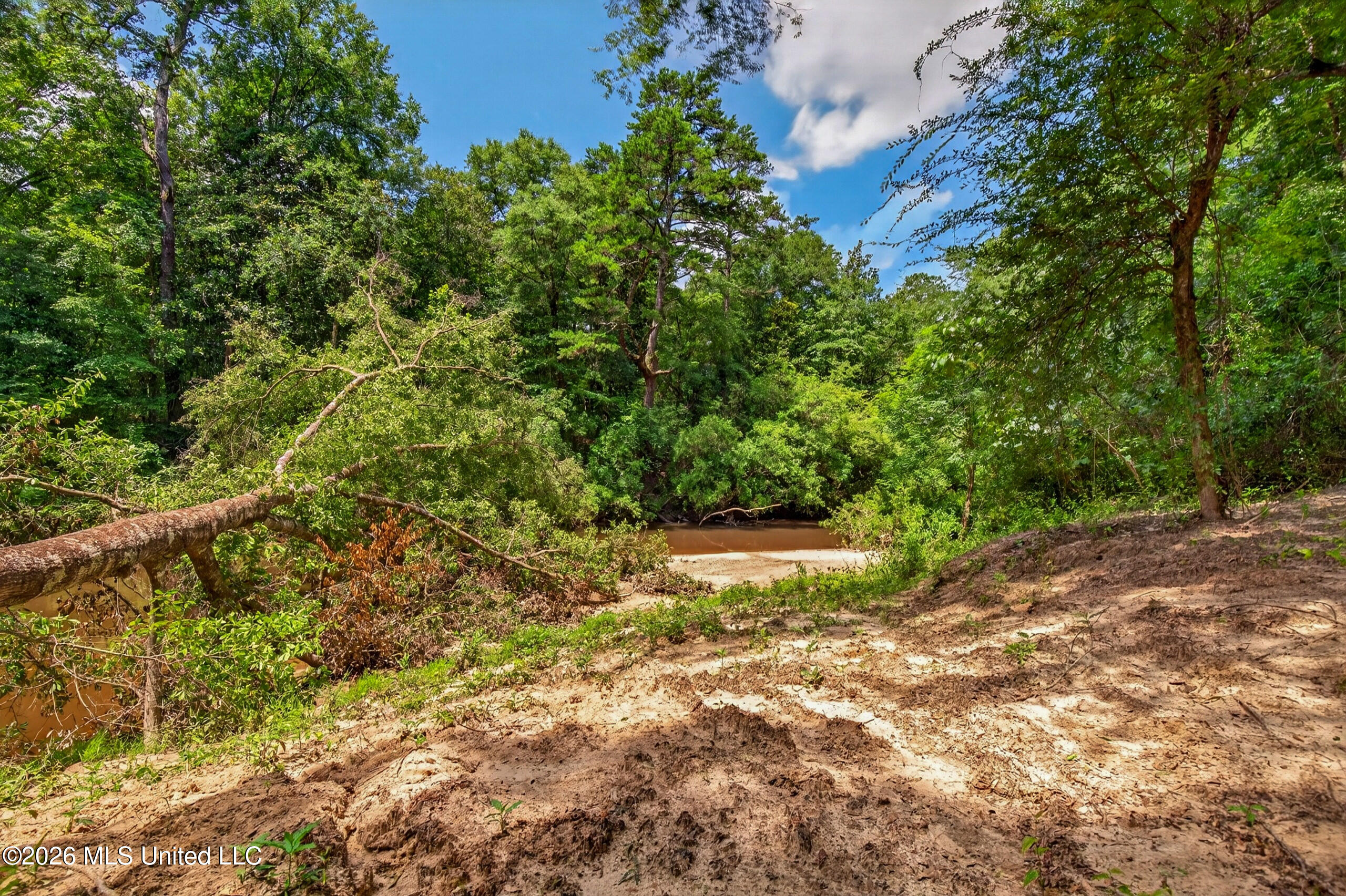 78 Game Reserve Road Columbia, MS 39429 - Photo 62 of 83 78GamerReserveRd.-56