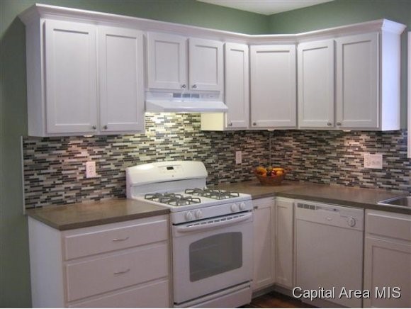 1905 North 10th Street Springfield, IL 62702 - Photo 9 of 24
