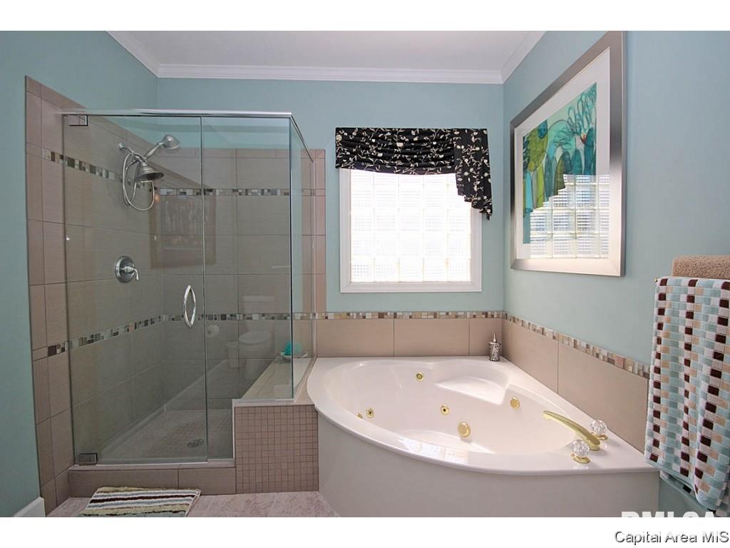 3505 Peach Tree Drive Springfield, IL 62711 - Photo 18 of 35