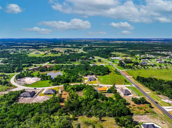 a plant that is in a garden