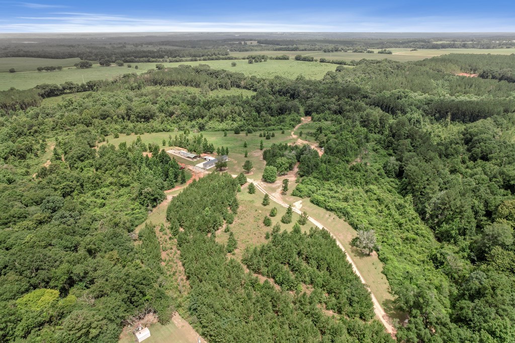 1600 Windmill Road Newton, AL 36352 - Photo 5 of 16