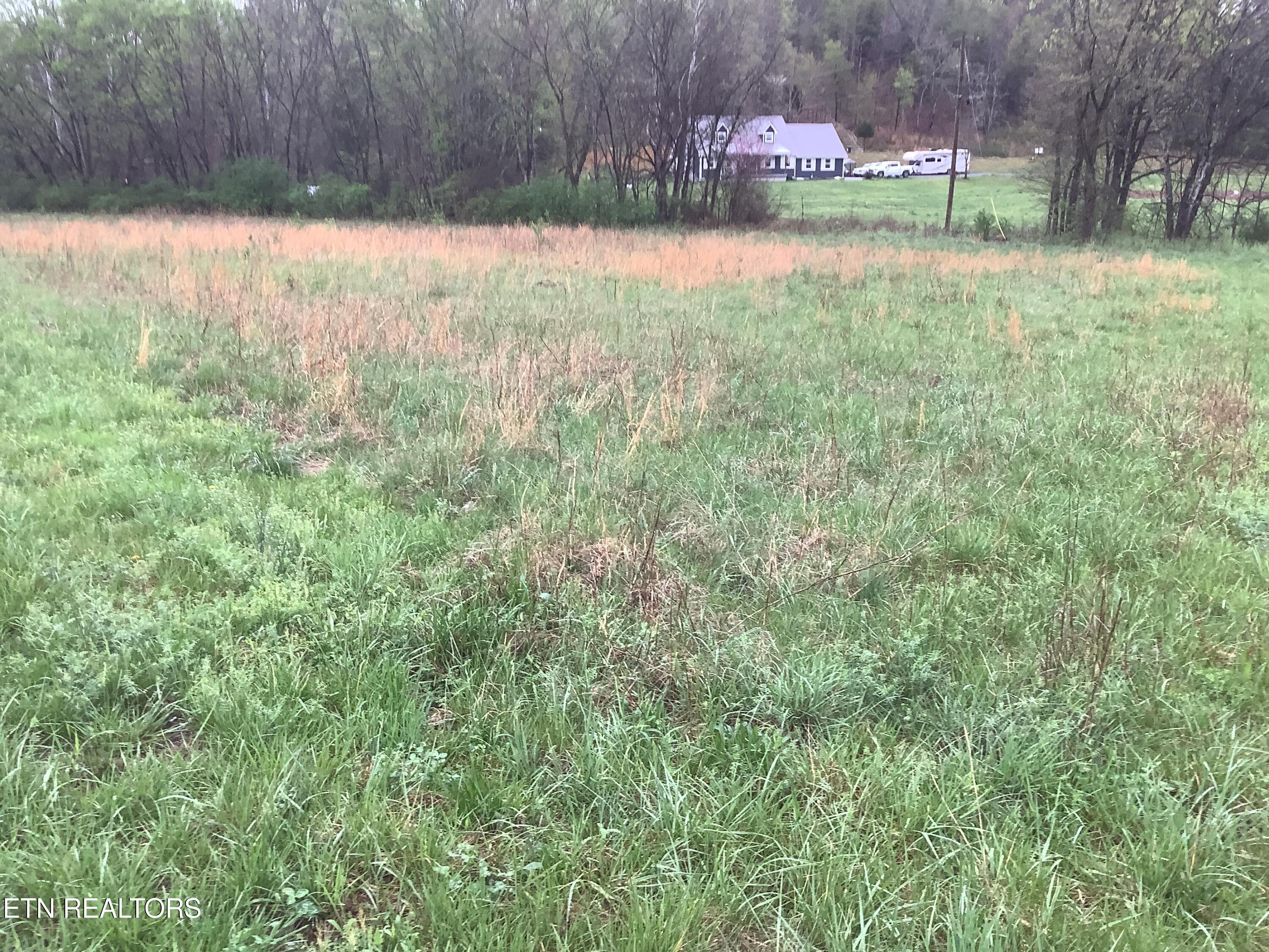 187 Woods Hollow Road Decatur, TN 37322 - Photo 1 of 1 IMG_0098