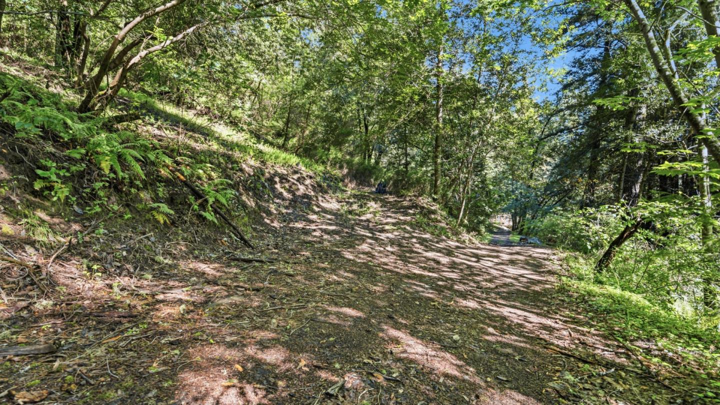 360 Rincon Way Boulder Creek, CA 95006 - Photo 6 of 46