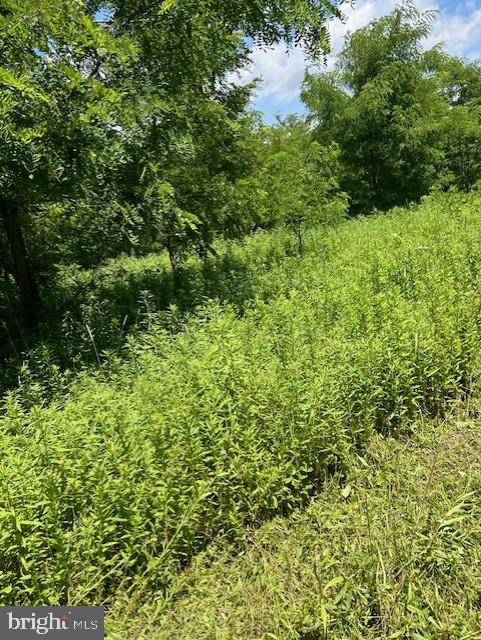 14517 Tower Road Smithsburg, MD 21783 - Photo 5 of 7