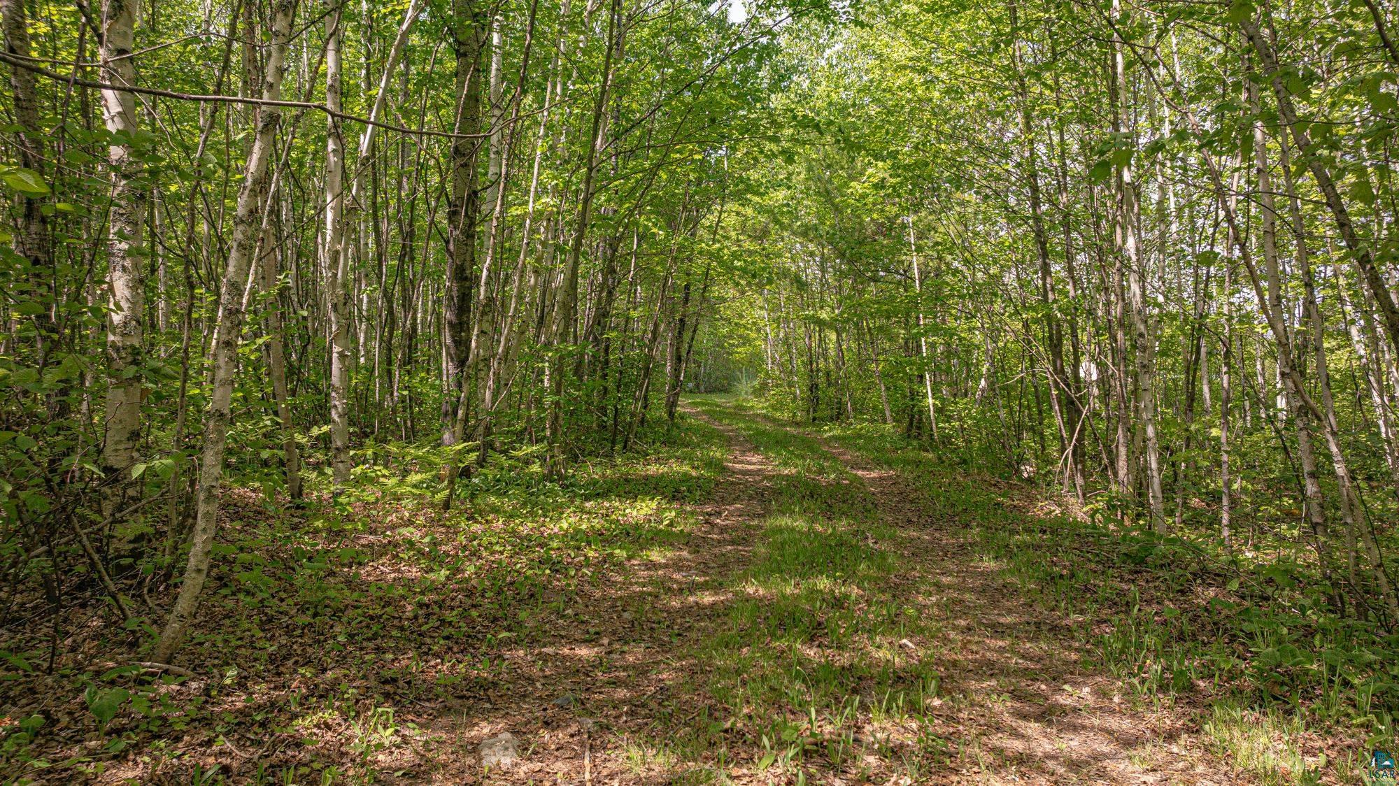 Tbd Tbd Muckwa Lake Road Babbitt, MN 55706 - Photo 54 of 54